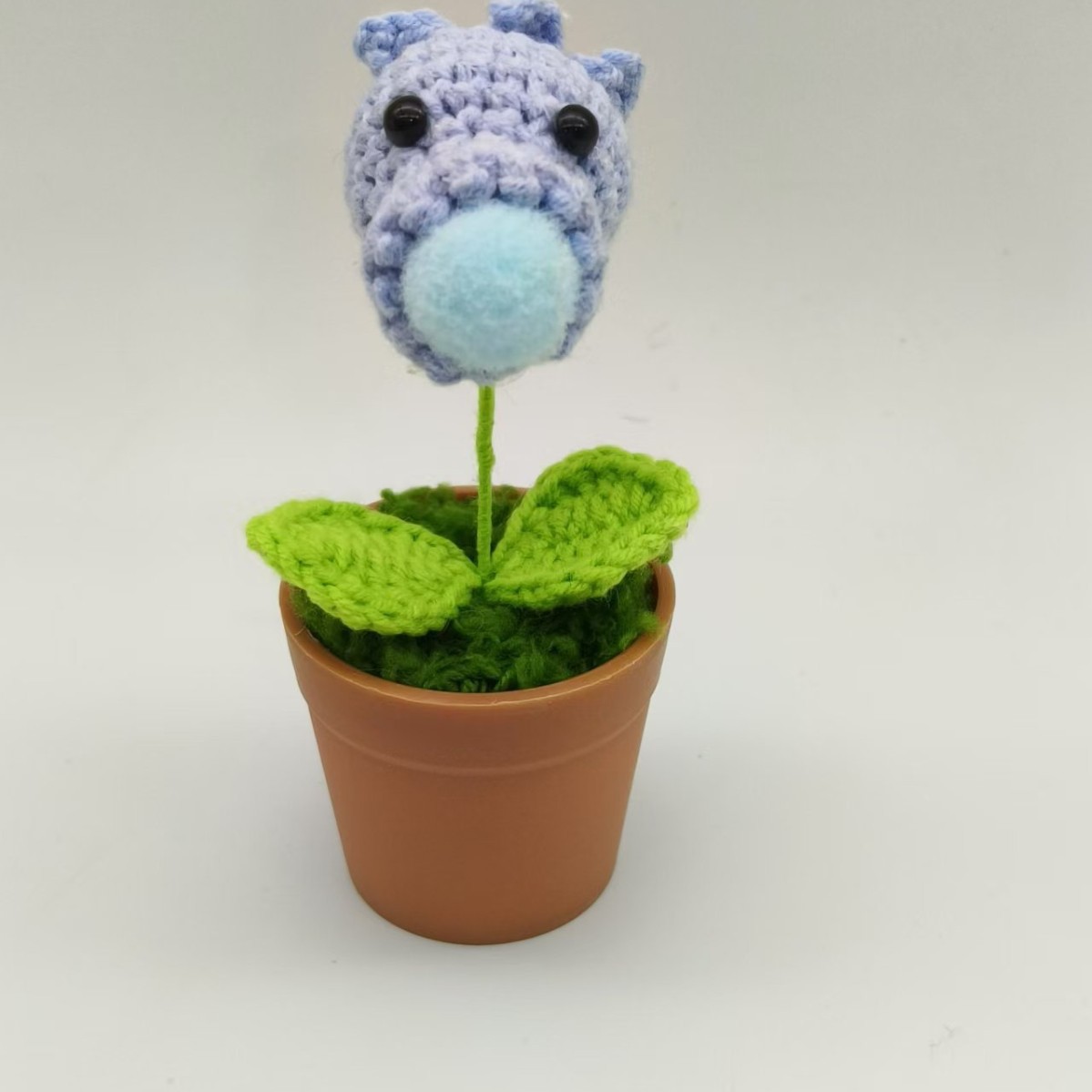 미니 블루 완두콩