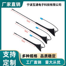批发23cm28cm41cm车载收音机天线 适用于多车型FM/AM橡胶汽车天线