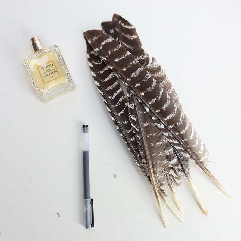 Fábrica al por mayor de bricolaje plumas pequeñas plumas naturales plumas de pollo salvaje plumas de pato jardín de infantes joyas hechas a mano gato divertido material de captura de sueños