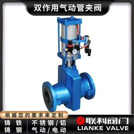 过滤器;其他阀门;隔膜阀