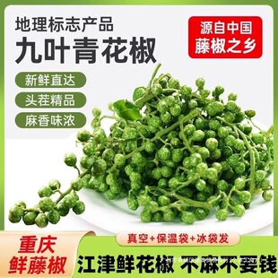 �໨�����r350g�ؑc�����r�ٽ��Ĵ��خa�Fժ���r�齷������r����