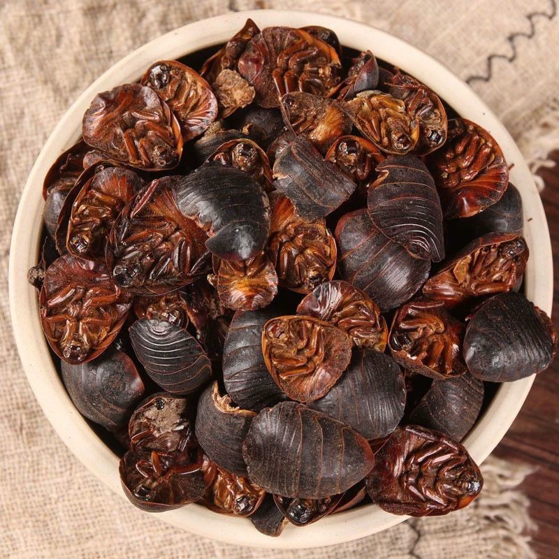 Сушеный продукт Tuoyuan Tuoyuan Tuoyuan 50 г 500 г почва, апельсиновая грунтовка, апельсиновая грунтовка, характеристики порошка юаня, 20 г