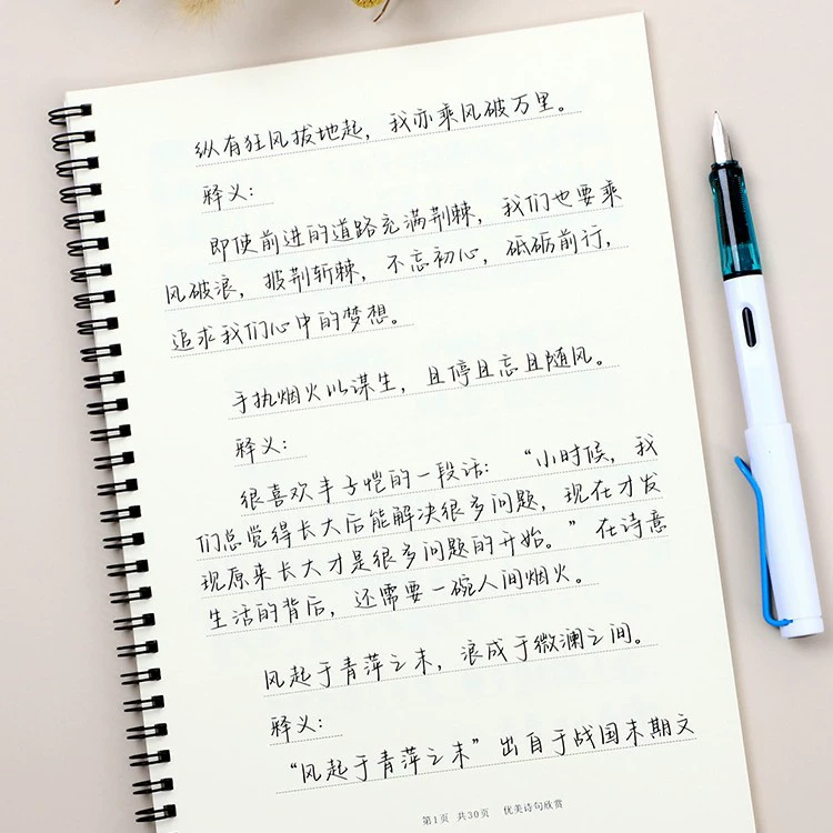 Камелия Тетрадь, ручка, тетрадь, девушка, красивый шрифт, взрослый ученик средней школы, жесткая ручка, копия