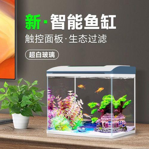 鱼缸超白玻璃水族箱客厅桌面中小型创意金鱼缸家用生态懒人免换水