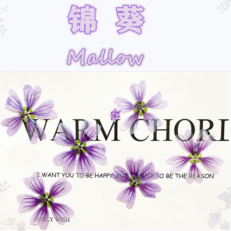 微信图片_20220918013431