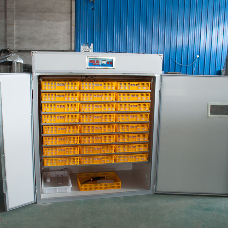 孵化机定制全自动孵化器鸡鸭鹅孵蛋器一件代发智能温控机械