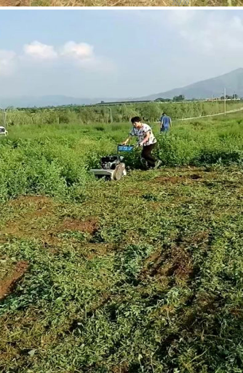 小型家用多功能碎草还田机自走式果园大棚苗圃秸秆开荒工具割草机详情12