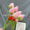 Fuchsia strawberry