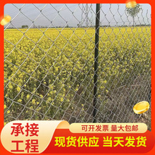 ������\���ι����W�V���o�¾G���e�����x�r�����o���ھW�S��