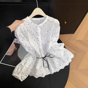 ��ʽ���c�̽��L���r��2026����ϵɭײɫ�I�p�g�ٴ������A10361