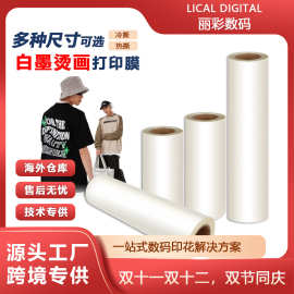 批发烫画打印膜A1 T恤涂层膜DTF冷热撕单双面热转印白墨60CM印花