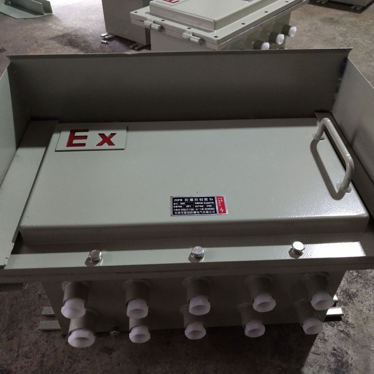 BJX52-10/24防爆接线箱防爆仪表箱防爆控制箱防爆配电箱 浙创