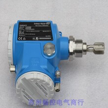 B003*全新恩德斯豪斯E+H音叉开关FTL50-6E62/0 现货FTL50-NGR2AA4