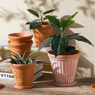 ���s͸����ˮ����ͥԺ�t�ջ���Gֲ���⸡�񻨼y���_�R�̨����