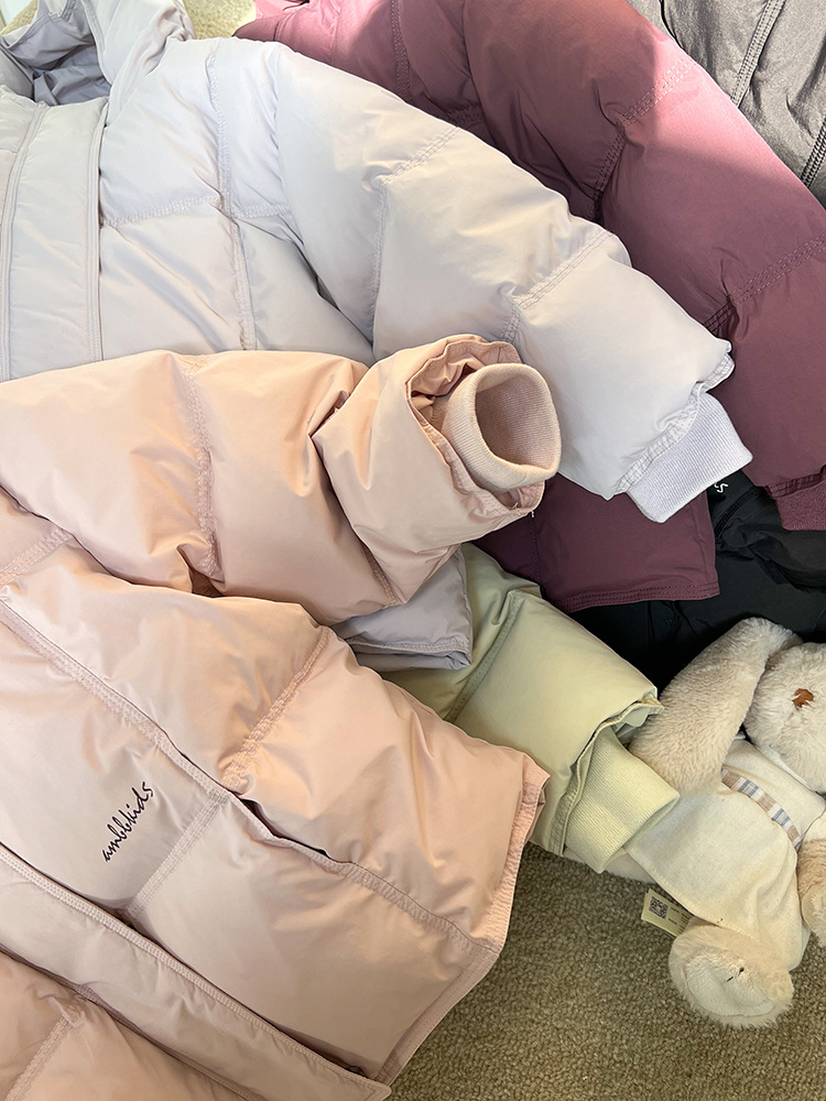 2024-11-08 115457.jpg