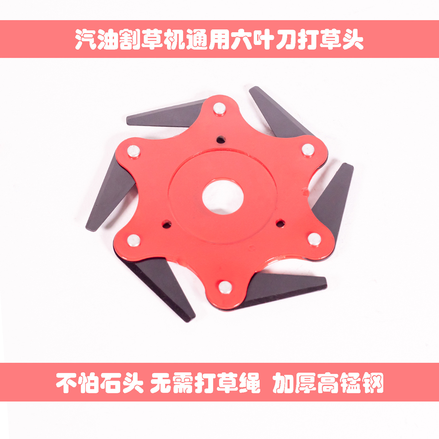 IMGL9744图1