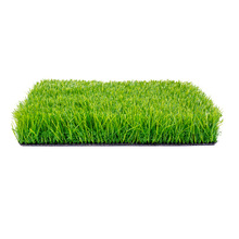 SֱNl20/16/10ͥԺݑͥԺ׃@Iƺ