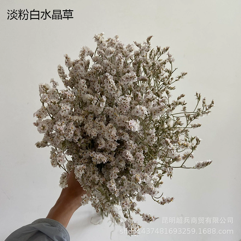 Сухой кристаллический букет Grass (Statice) — смешанные натуральные цвета, декоративная цветочная композиция, 0,06 кг