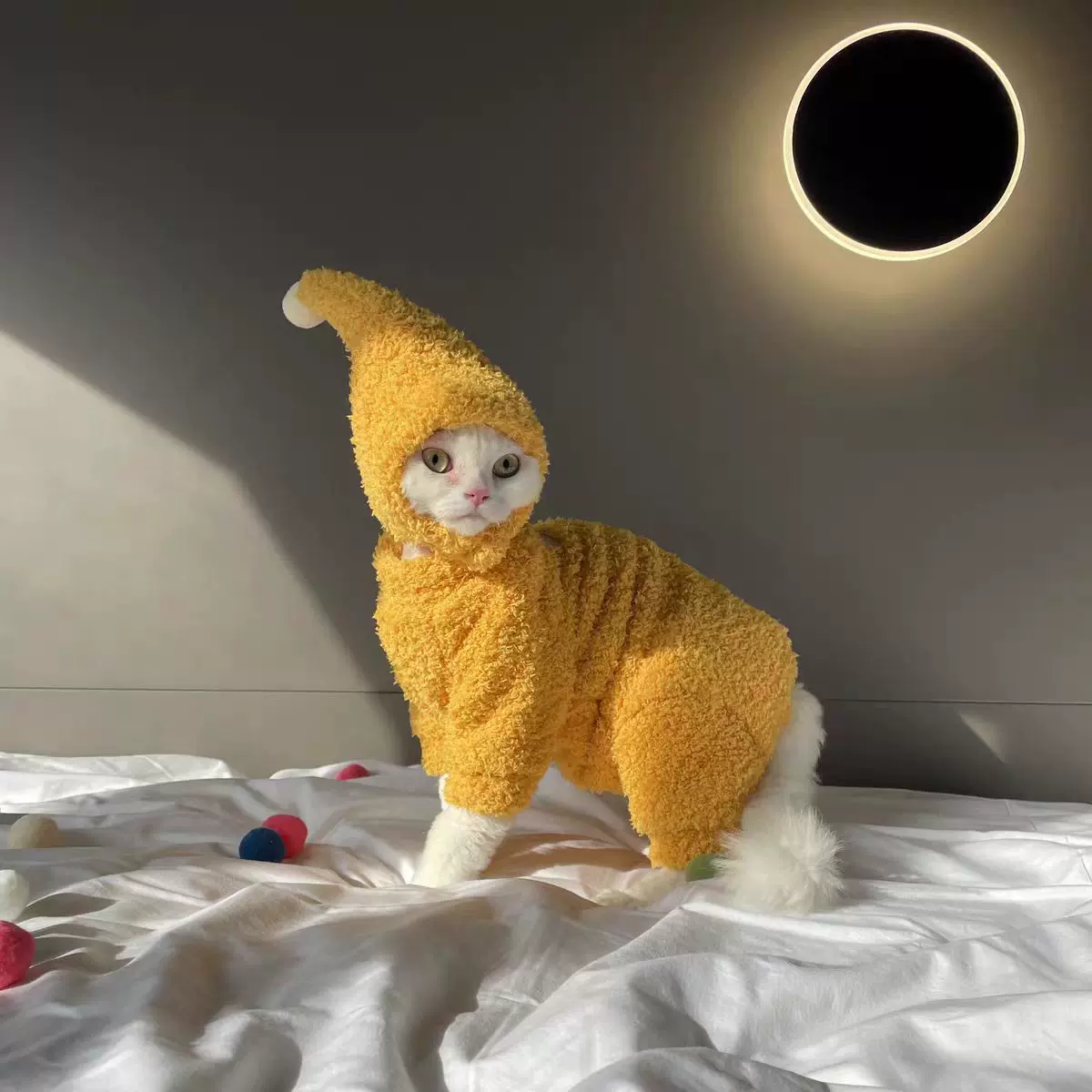 猫咪衣服冬季保暖四脚连体衣精灵帽双面云朵绒柔软厚棉衣宠物衣服