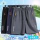 High-End Ice Silk Men's Cropped Pants, Loose Large Size, New Middle-Aged and Elderly Dad Shorts, Summer Men's Five-Point Beach Pants