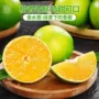 云南新鲜时令青皮冰糖橙