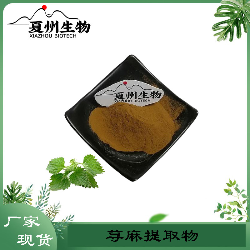 荨麻提取物  10/20/30:1规格  夏州生物  现货供应 公斤装