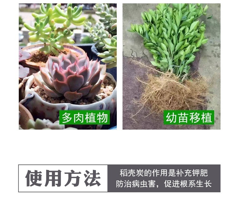 2d3ba9a4-008c-4b81-8650-c34138478bc4.jpe