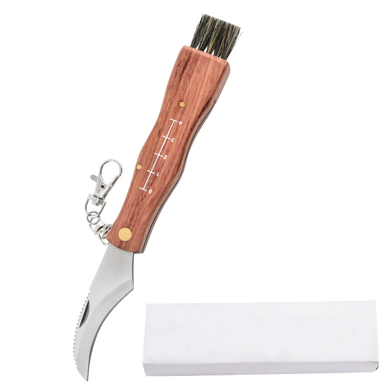 Universal travel pocket knife, brush, Birthday gift, wholesale
