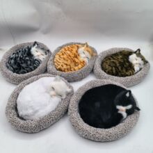 ���¿�������؈����������������������߄���[���l��