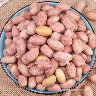 ɽ�|���������ζ�濾������1���b5���b���}������؛���e��ʳ