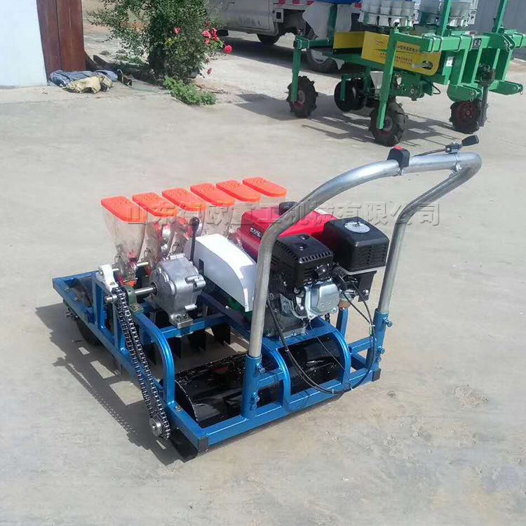 小型蔬菜播种机 农作物小颗粒种子点播机 圆孔型播种轮种子条播机