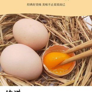 �t�����r�u�������u������ɢ�B���u�������r��һ���ͼZ���u��