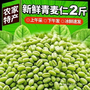 ���������r�������������������ȥƤ��ʳ��С����ѿ�r�������s�Z