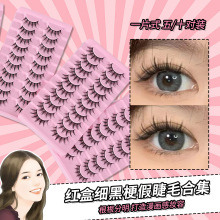 ���ڹ��ٽ�ë ������һƬʽ�ٽ�ë�w�L���N���˼ٽ�ë�Ͻ�ë��Ȼ