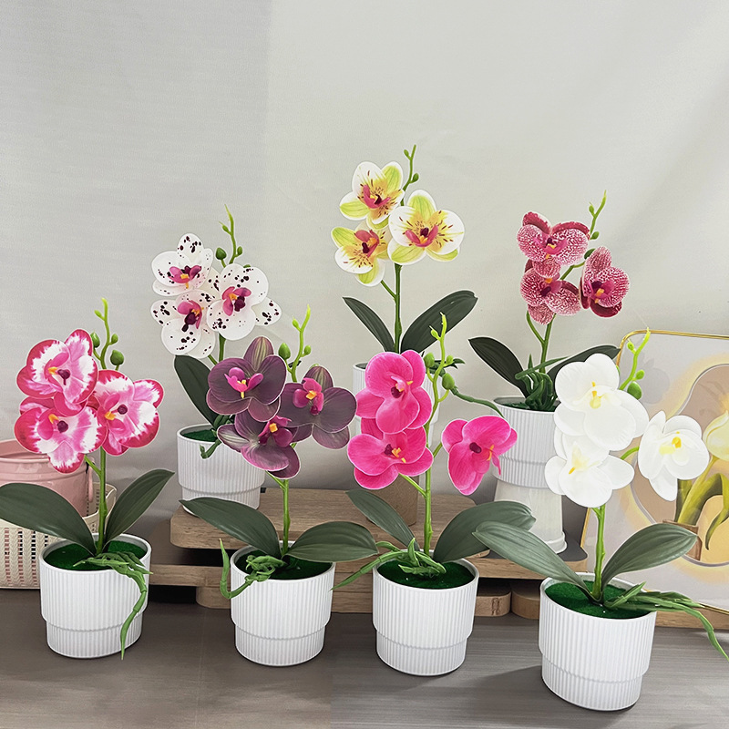 Simulated Flower Phalaenopsis Single Branch Flower Potted Set Living Room Decoration Ornaments Phalaenopsis Potted Decoration Simulated Plants