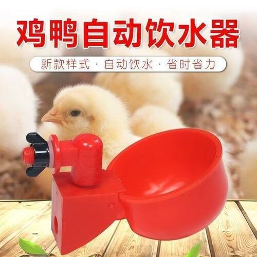 Automatic Drinking Fountain for Chicken, Duck, Goose, Quail, Bird, Dove Farm, Multi-Function, Suitable for Multiple Poultry, Daily Use