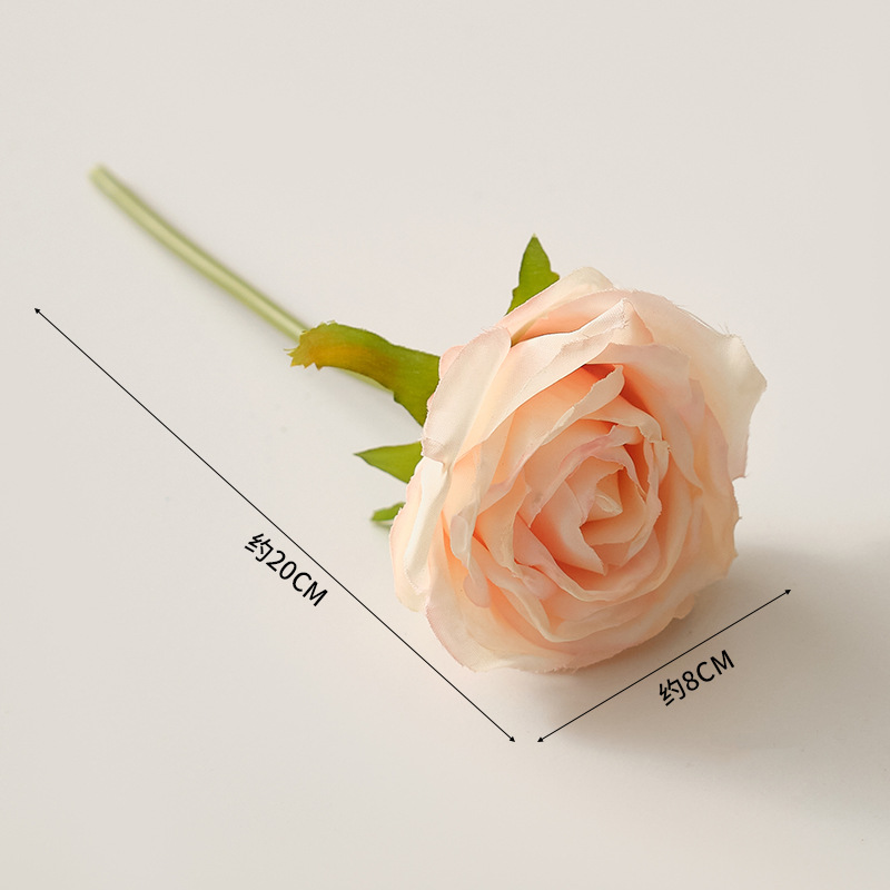 리치 로즈 핑크