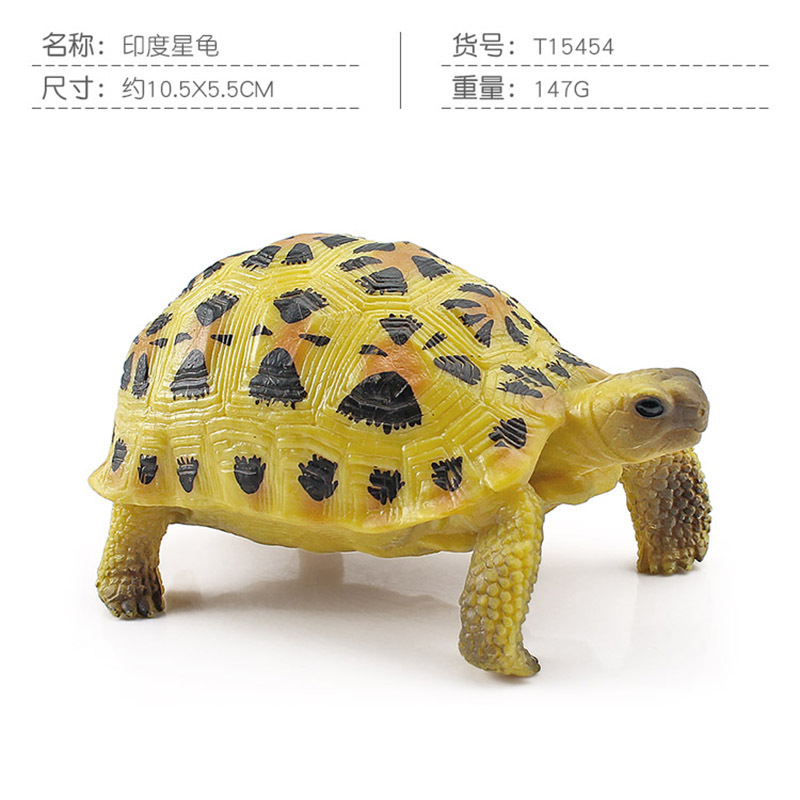 Transfronteriza Nueva simulación anfibio reptil modelo tierra tortuga elefante tortuga estrella tortuga estática decoración cognitiva decoración juguete