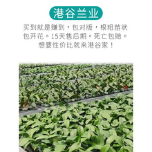 �۹Ⱥ����m�I�m�󻨰�������o�����{���{녶�W�������v3������
