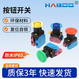 YW1B-M4E/A4E自复位启动点动自锁三相蘑菇头22MM按钮开关防水IP65