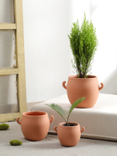 �ֹ��ɐ�΢ЦС���Ӽt�ջ���͸����ˮ�����؟����վGֲ���⎧�бP