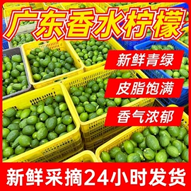 柠檬;食用香精