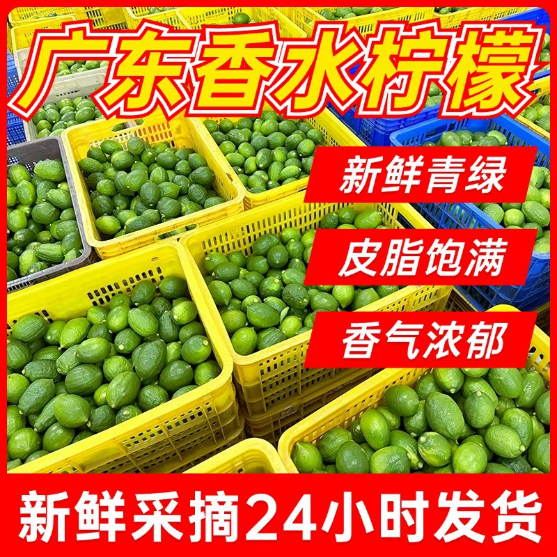 [Прямая доставка с места происхождения] Гуандунский парфюм с лимоном, свежий без씨앗 молочный чай, специальный первый класс, зеленый оптом