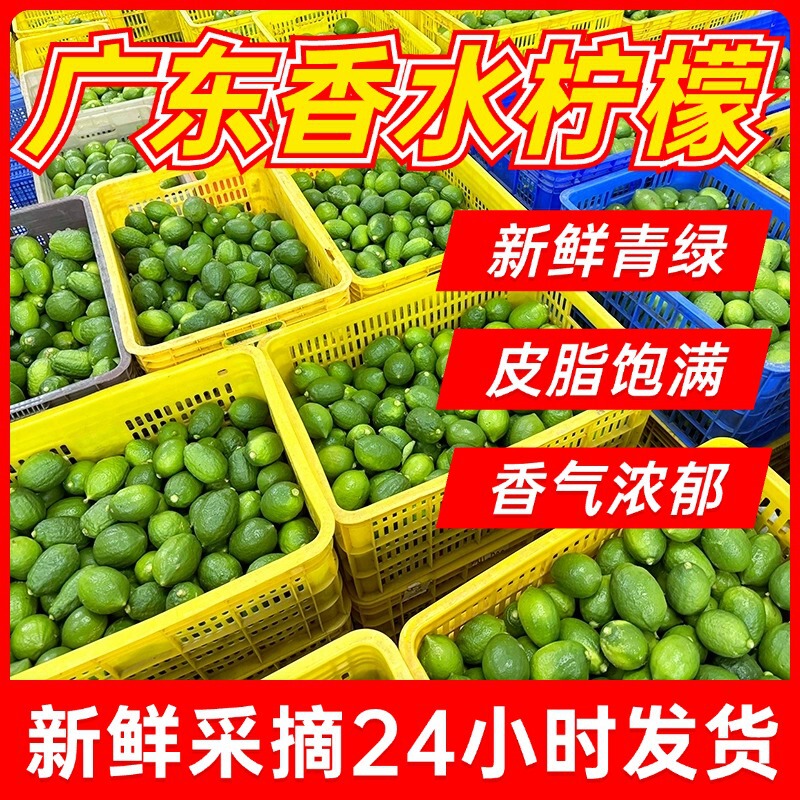 Authentic Guangdong Fragrant Lemons Direct from the Place of Origin, Fresh Seedless Green Lemons, Specially for Milk Tea Shops, First-Grade Wholesale