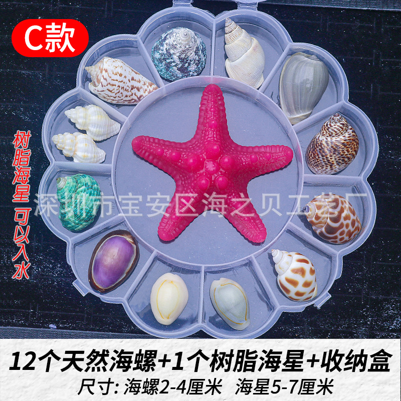 C款太阳花树脂海星套餐.jpg