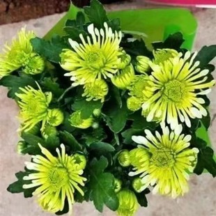 �ջ������ļ����m���_����ͥԺֲ���҃Ȼ��ܾGֲƹ�ҾՎ���������