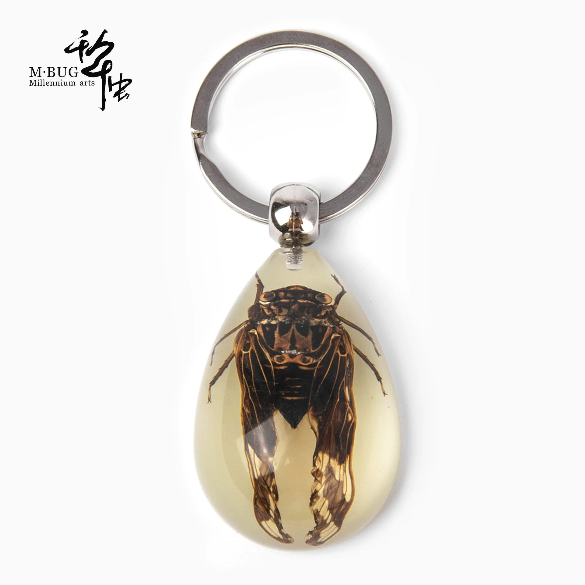 П Millennium Bug Highly Transparent Resin Glue Luminous Scorpion Scarab Hu Feng Real Insect Specimen Gift Keychain