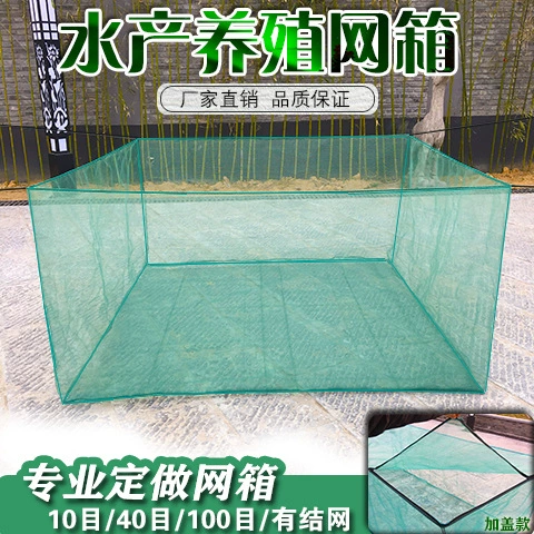 10 видов аквакультурной сетки голец желтого фазана