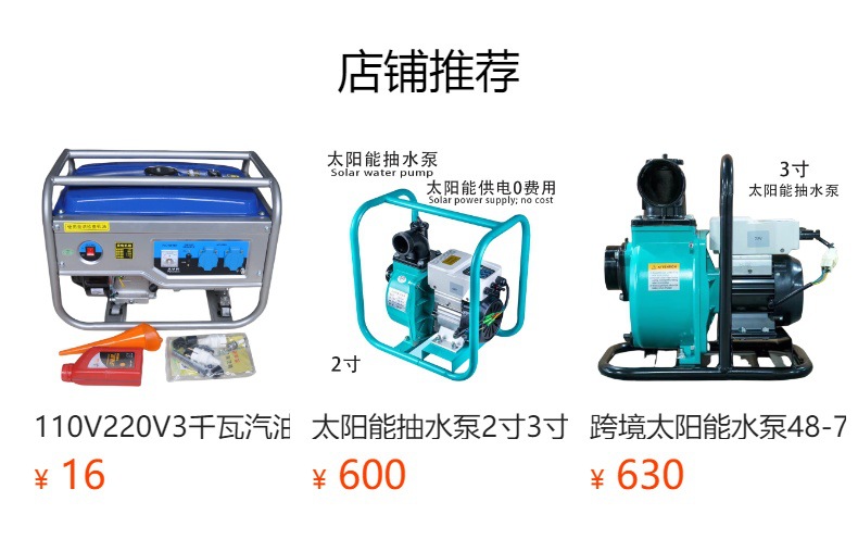 Factory In-Stock Generator 220V Dc Brushless Small Permanent Magnet Dual-Purpose Generator Outdoor Portable Generator