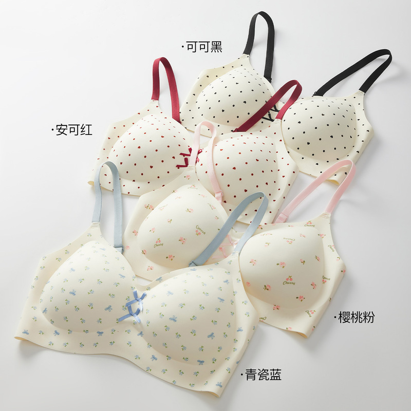 Pastoral Style Small Chest Push-Up Bra for Women, Cute Soft Support, Anti-Sagging, Seamless, Beautiful Back, Young Girl Bra, Wrap-Around Bra Pastoral Style Small Chest Push-Up Bra for Women, Cute Soft Support, Anti-Sagging, Seamless, Beautiful Back, Young Girl Bra, Wrap-Around Bra